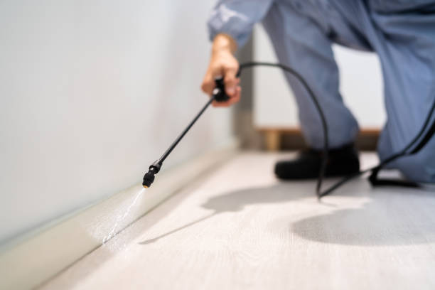 Licensed Pest Control service in Fuller Heights, FL - Show Me Pest Control