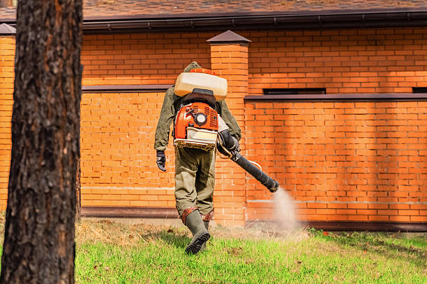 Bed Bug Clearance Verification and Documentation in Fuller Heights